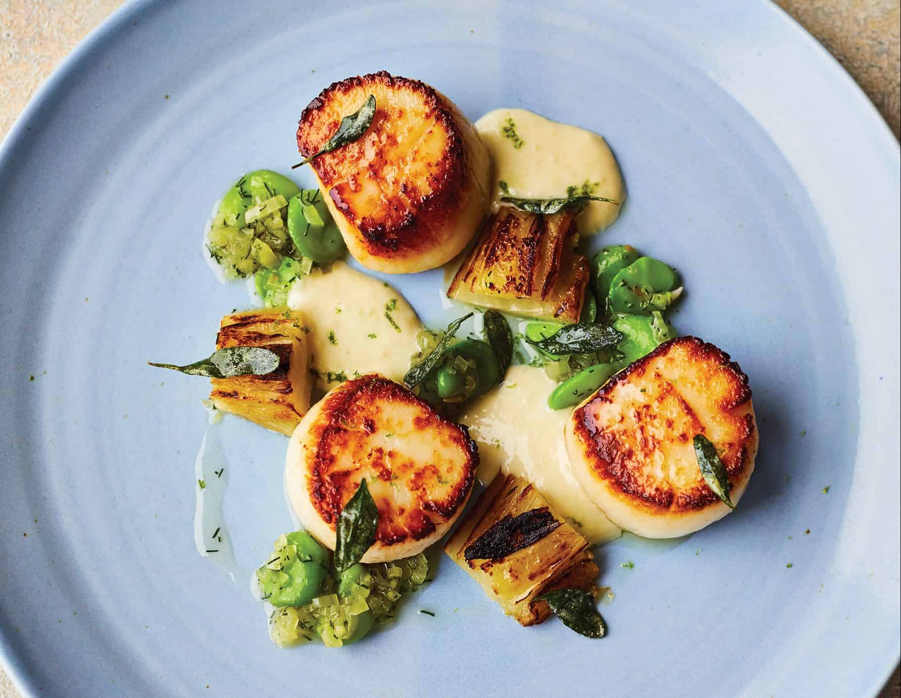 Nathan Outlaw’s Restaurant Nathan Outlaw: Scallops, braised fennel & broad beans