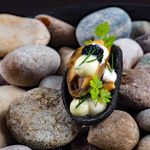 Condita mussel