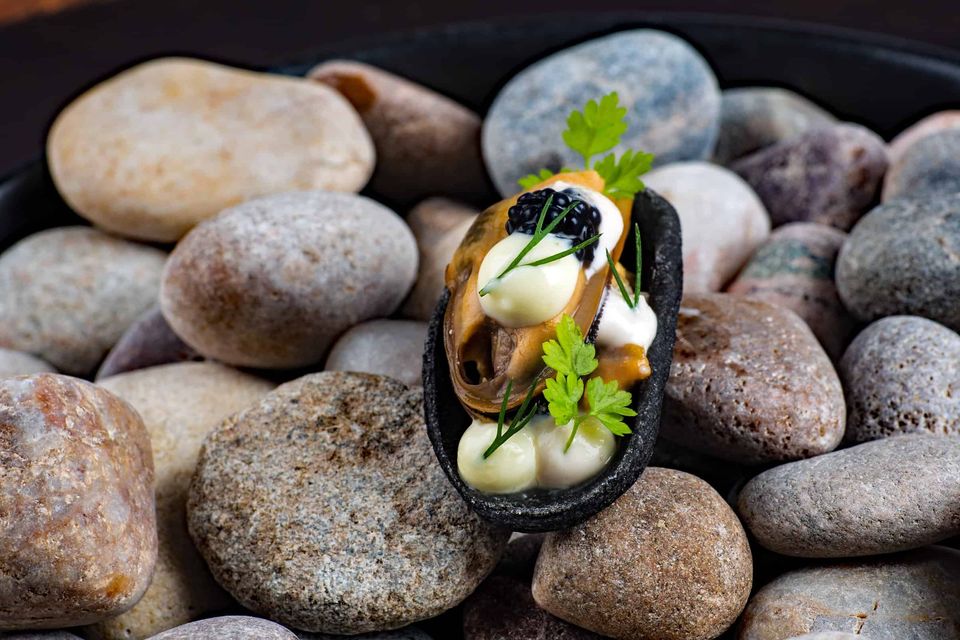 Condita mussel