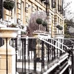 Nira Caledonia in the snow