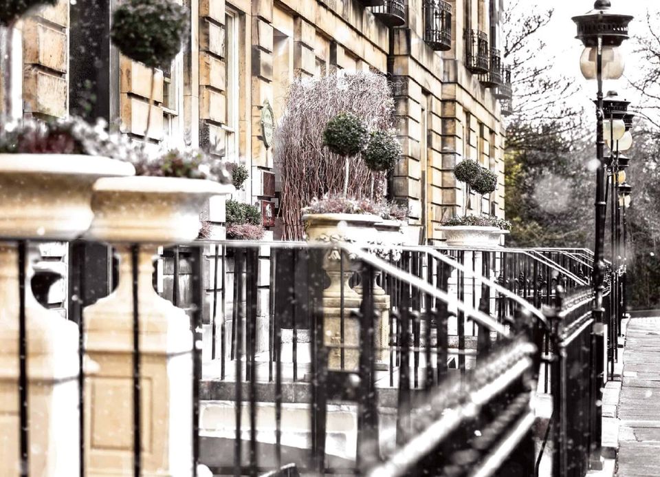 Nira Caledonia in the snow