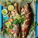 Ainsley's rainbow trout image