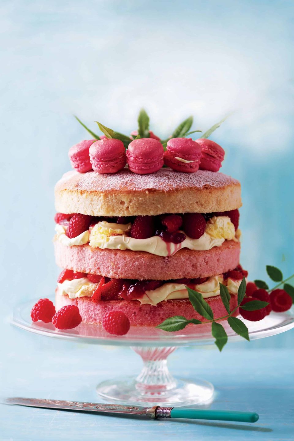 Macaron cake image