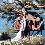 Wedding at the Treehouse